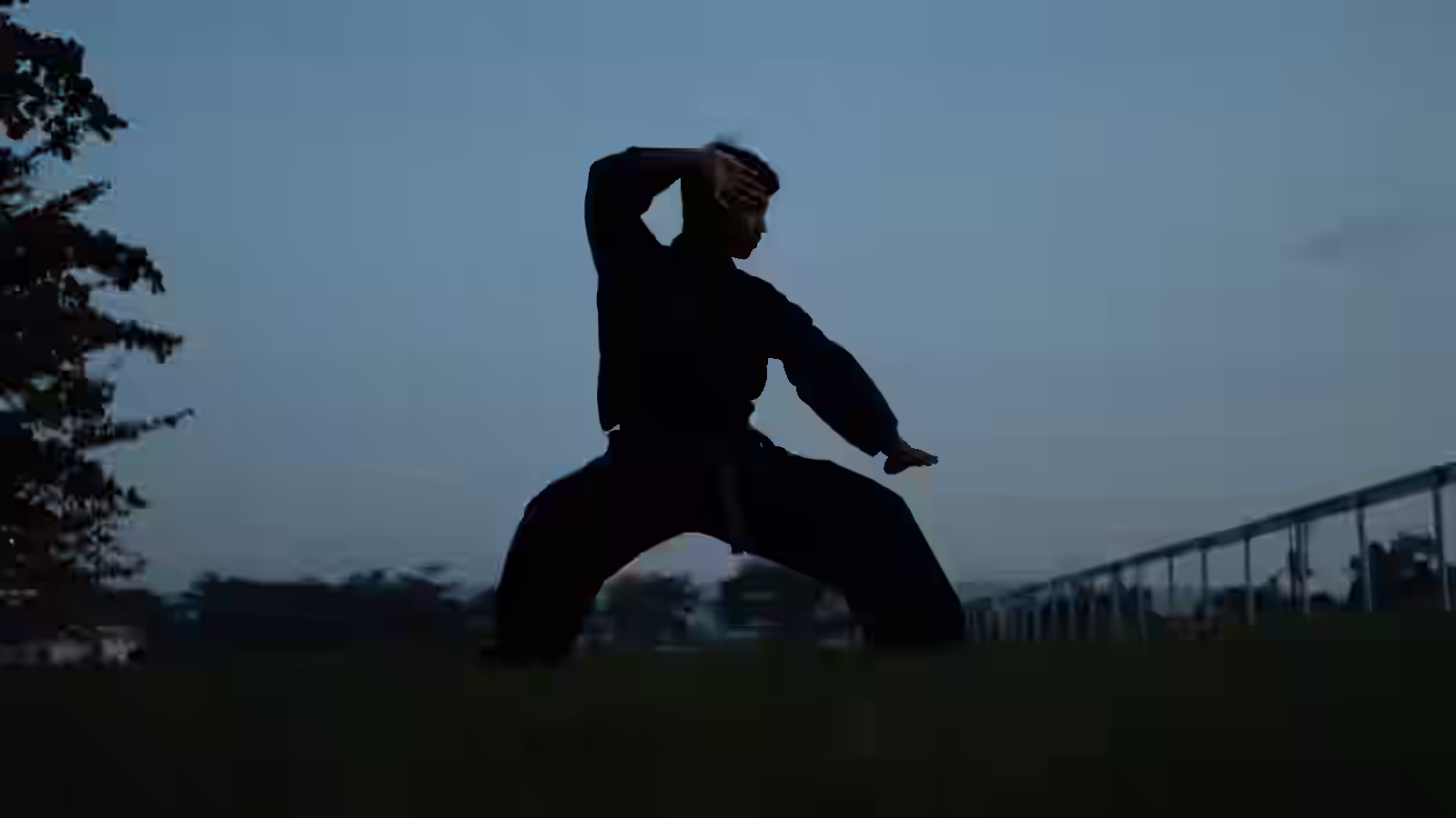 Artes Marciales para la Salud Mental